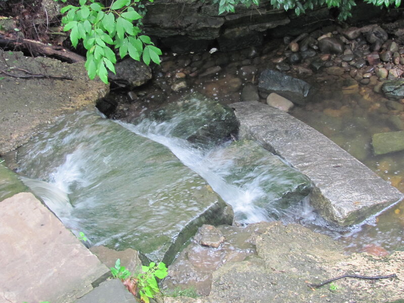 Stream Flowing over Rocks — Green, Calm, Photograph