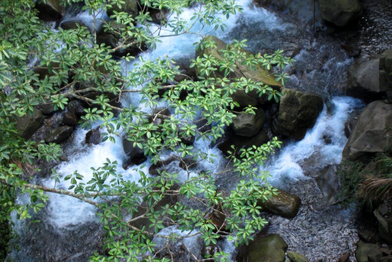 Stream Flowing over Rocks — Green, Calm, Photograph, Trees