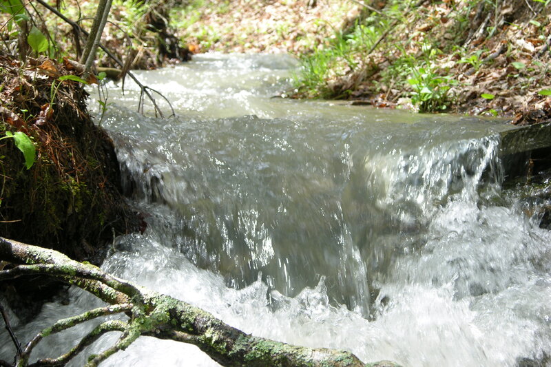 Stream Flowing over Rocks — Green, Calm, Spring, Photograph