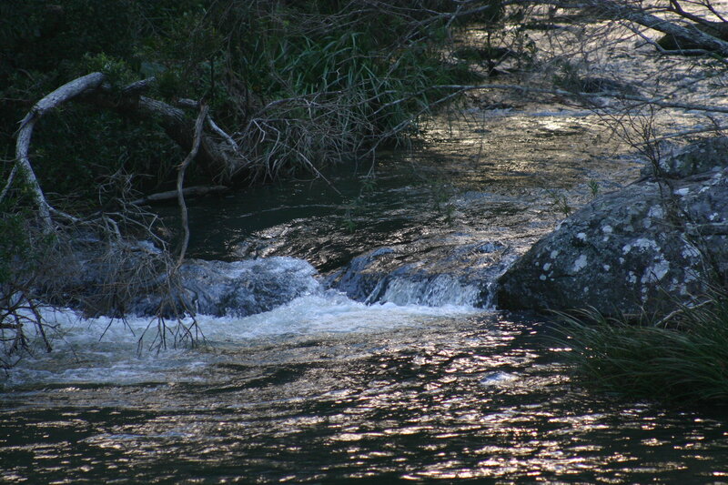 Stream Flowing over Rocks — Green, Calm