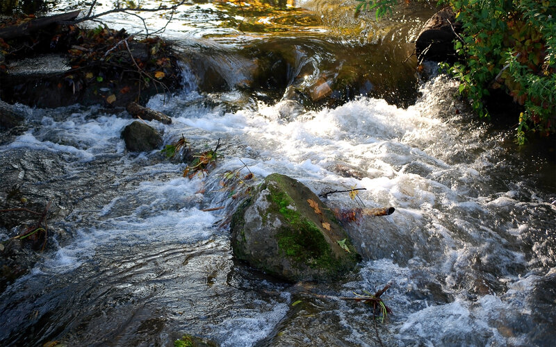 Stream Flowing over Rocks — Green, Dynamic
