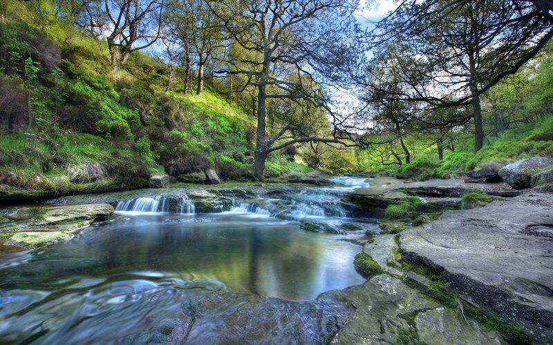 Stream Flowing over Rocks — Green, Forest