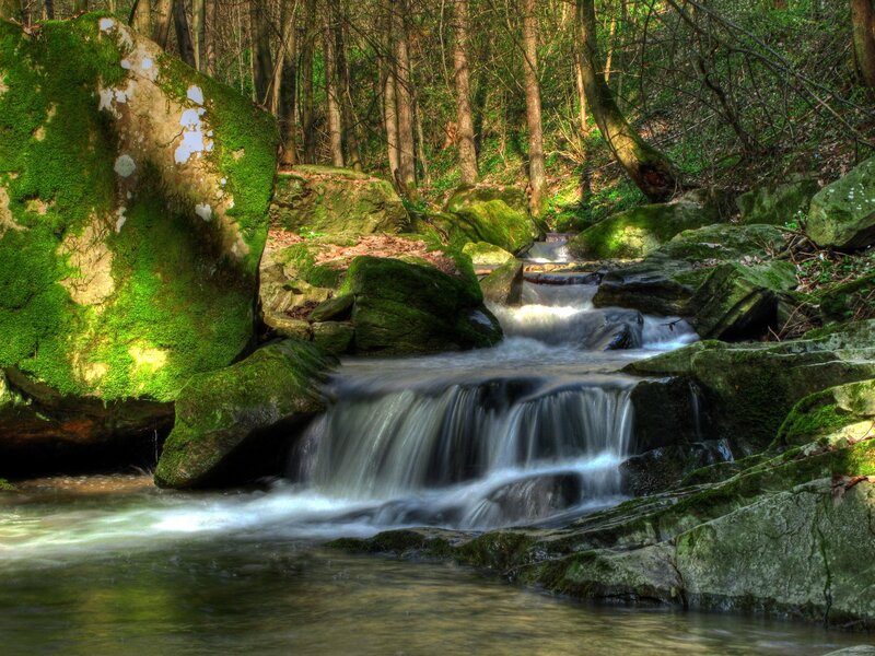 Stream Flowing over Rocks — Green, Moss