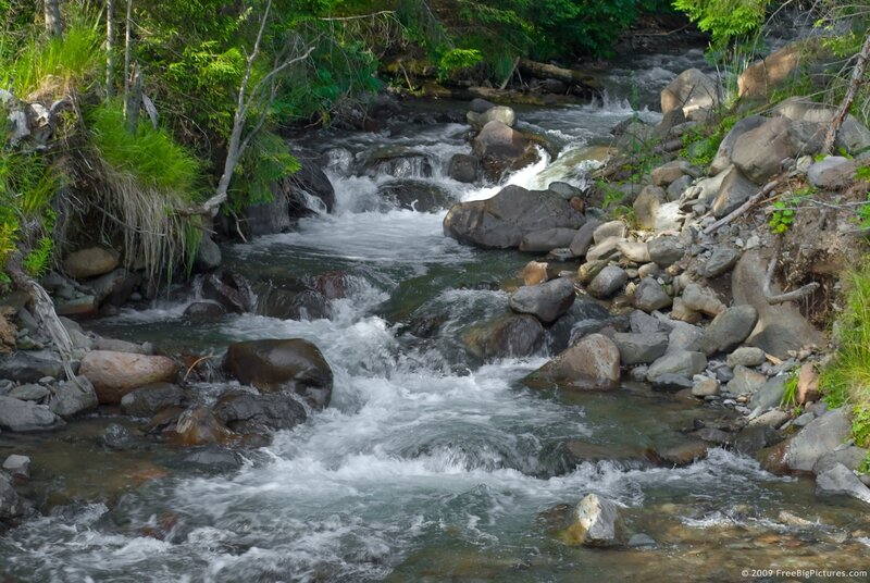 Stream Flowing over Rocks — Green, Natural, Afternoon