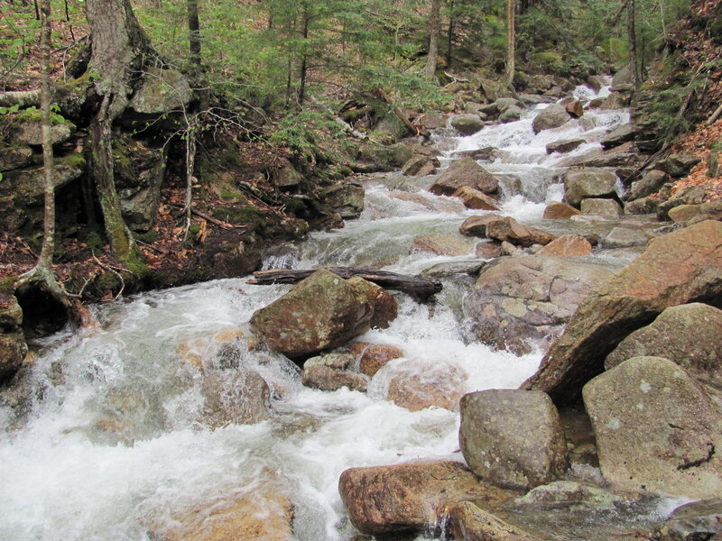 Stream Flowing over Rocks — Green, Natural, Autumn