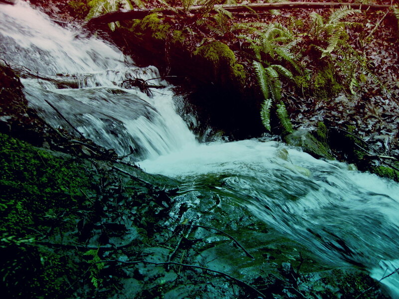 Stream Flowing over Rocks — Green, Natural, Photograph, Moss