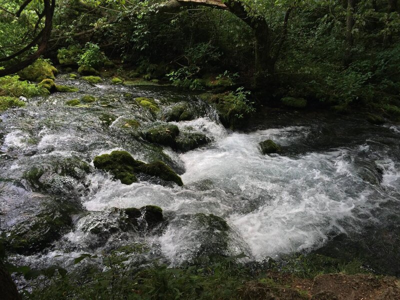 Stream Flowing over Rocks — Green, Natural, Photograph, Trees, Moss