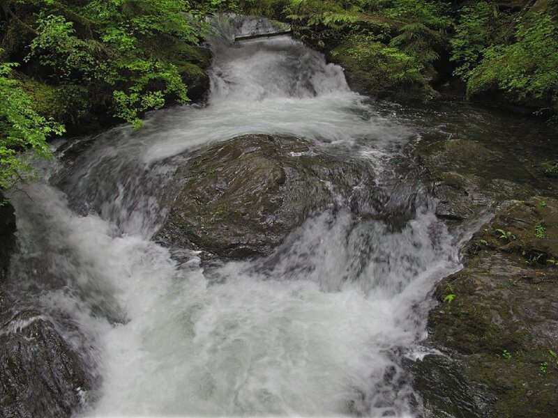 Stream Flowing over Rocks — Green, Natural, Photograph, Trees