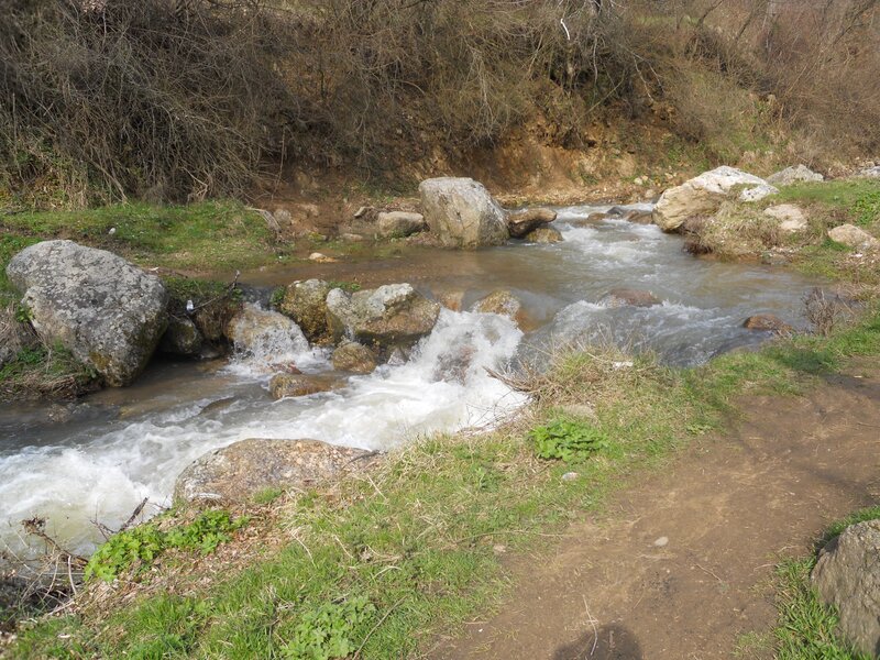 Stream Flowing over Rocks — Green, Natural, Spring, Photograph, Grass