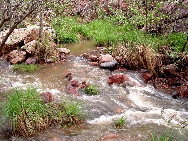 Stream Flowing over Rocks — Green, Natural, Spring, Photograph