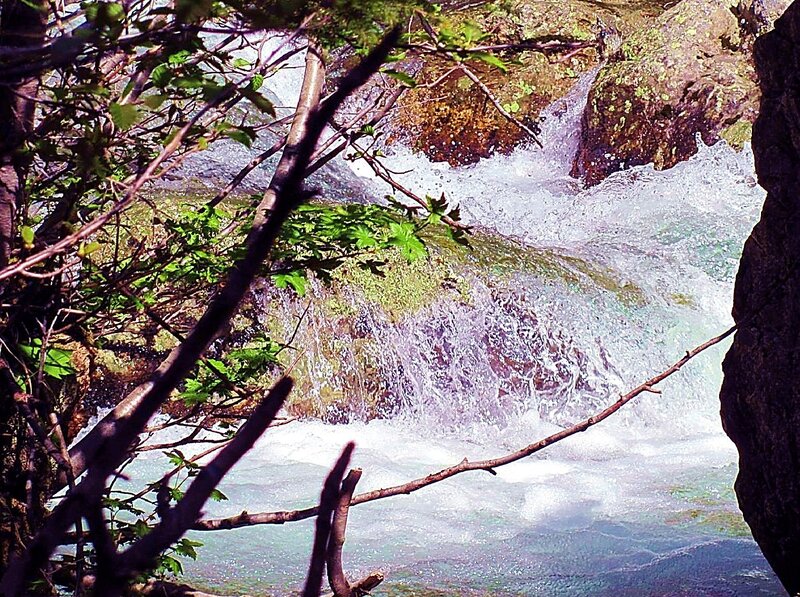 Stream Flowing over Rocks — Green, Natural, Spring, Photograph, Trees, Branches