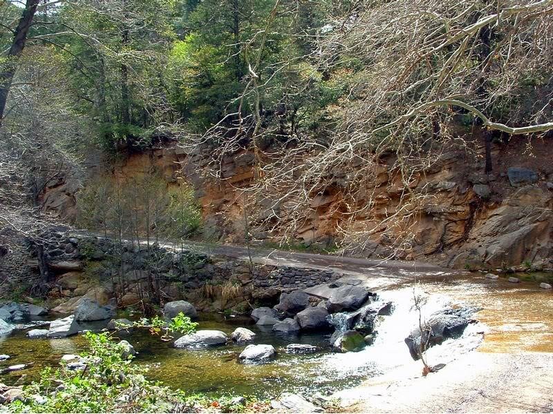 Stream Flowing over Rocks — Green, Natural, Spring, Photograph, Trees
