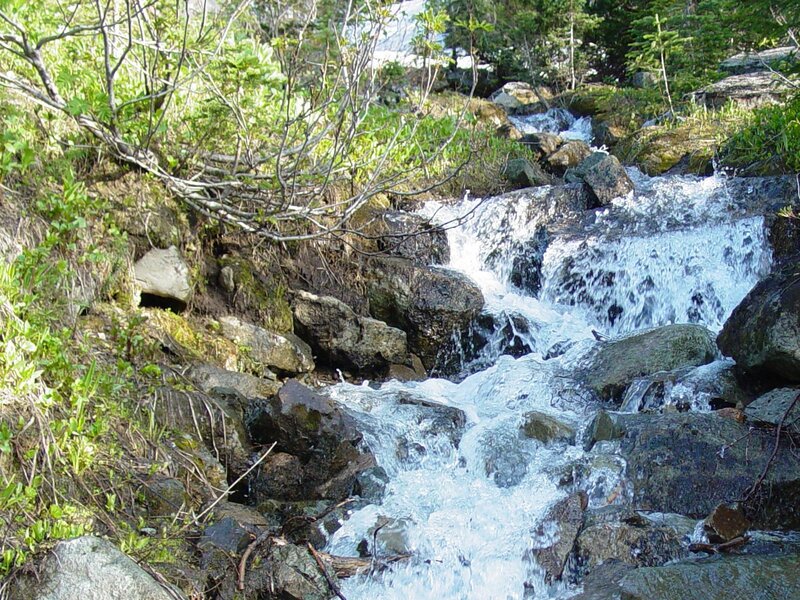 Stream Flowing over Rocks — Green, Natural, Spring