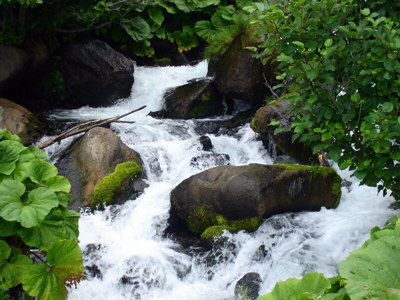 Stream Flowing over Rocks — Green, Natural