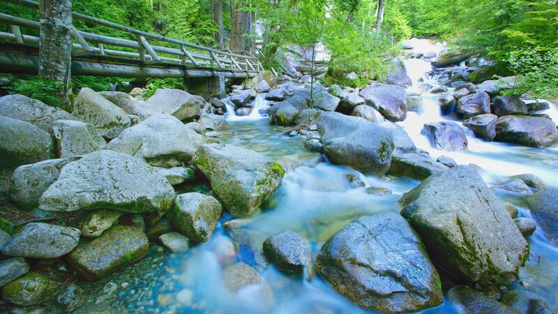 Stream Flowing over Rocks — Green, Serene, Afternoon, Photograph, Bridge, Forest