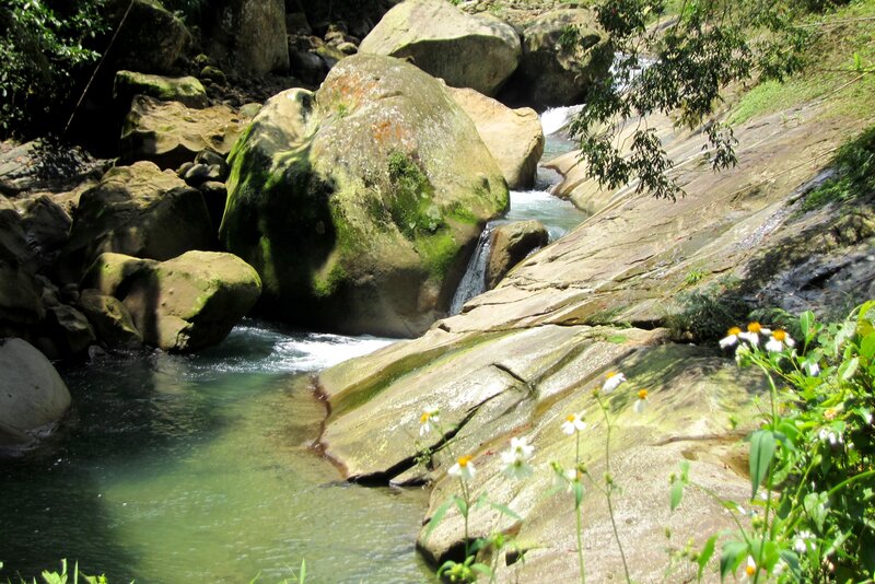 Stream Flowing over Rocks — Green, Serene, Afternoon, Photograph, Flowers