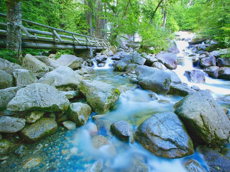 Stream Flowing over Rocks — Green, Serene, Afternoon, Photograph, Forest, Bridge, Trees, Blue