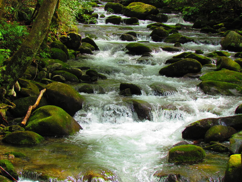 Stream Flowing over Rocks — Green, Serene, Afternoon, Photograph, Moss-covered Stones