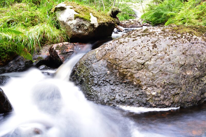 Stream Flowing over Rocks — Green, Serene, Afternoon, Photograph, Moss, Ferns