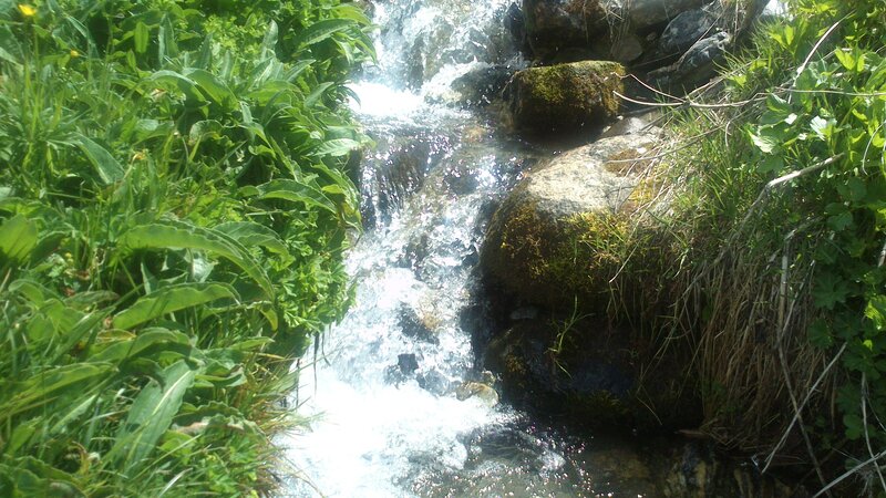 Stream Flowing over Rocks — Green, Serene, Afternoon, Photograph, Moss, Plants
