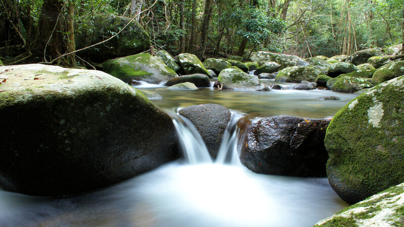 Stream Flowing over Rocks — Green, Serene, Afternoon, Photograph, Moss, Trees, Brown