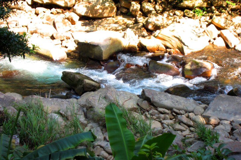 Stream Flowing over Rocks — Green, Serene, Afternoon, Photograph, Plants, River