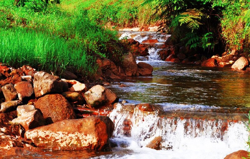 Stream Flowing over Rocks — Green, Serene, Afternoon, Photograph, Plants, Waterfall