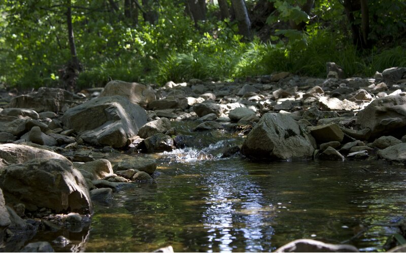 Stream Flowing over Rocks — Green, Serene, Afternoon, Photograph