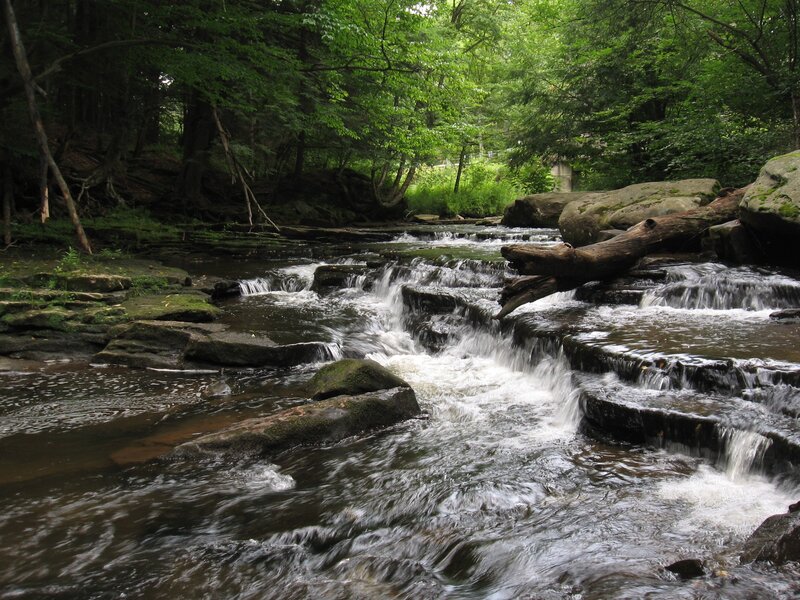 Stream Flowing over Rocks — Green, Serene, Afternoon, Photograph, Trees, Fallen Log