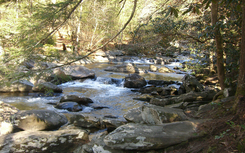 Stream Flowing over Rocks — Green, Serene, Afternoon, Photograph, Trees, Forest, Brown, Gray