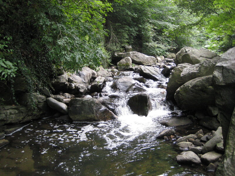 Stream Flowing over Rocks — Green, Serene, Afternoon, Photograph, Trees, Forest, Gray, Brown