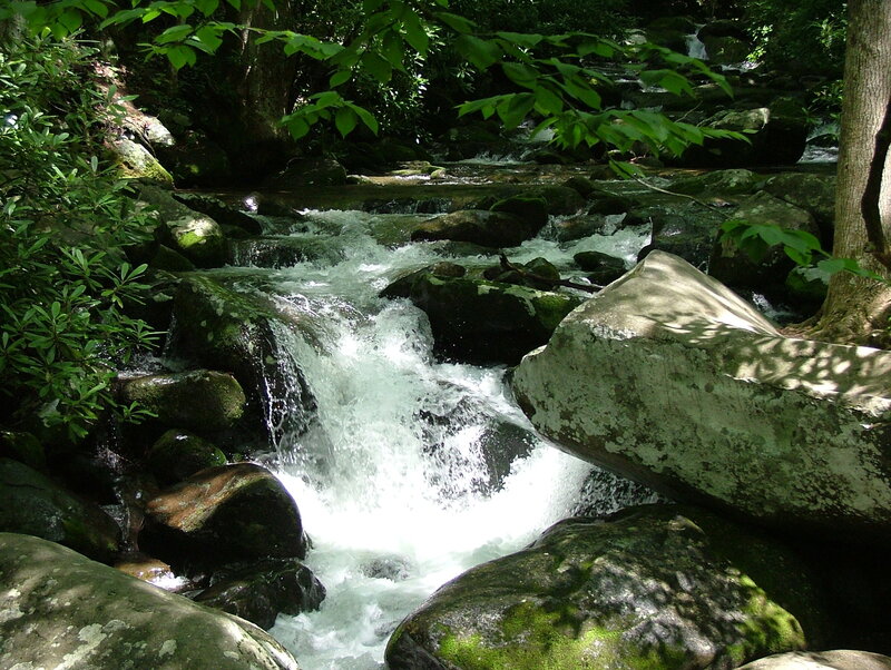 Stream Flowing over Rocks — Green, Serene, Afternoon, Photograph, Trees, Moss, White, Gray