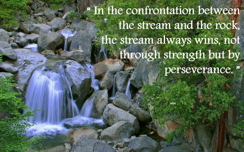 Stream Flowing over Rocks — Green, Serene, Afternoon, Photograph, Trees, Plants