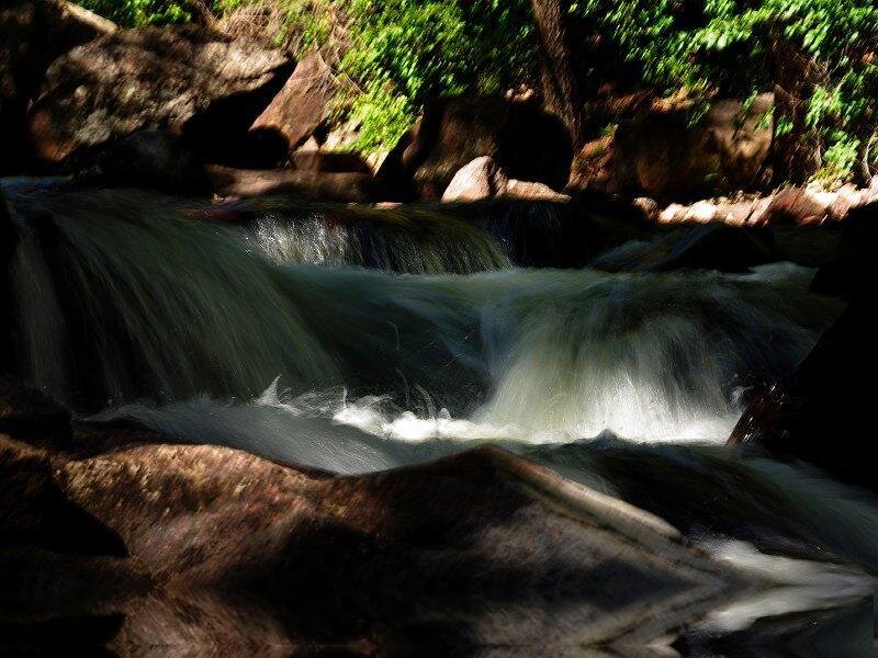 Stream Flowing over Rocks — Green, Serene, Afternoon, Photograph, Trees