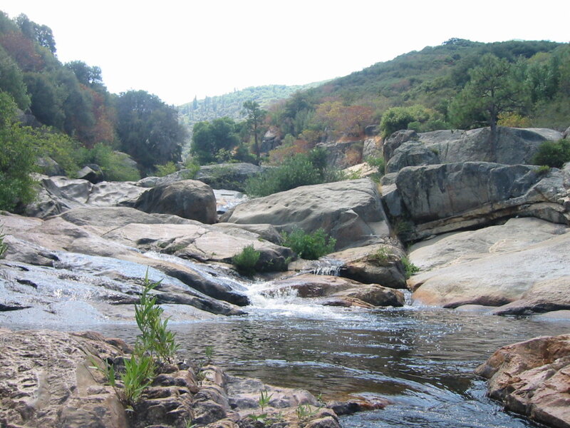 Stream Flowing over Rocks — Green, Serene, Afternoon, Photograph, Trees, Vegetation, Gray