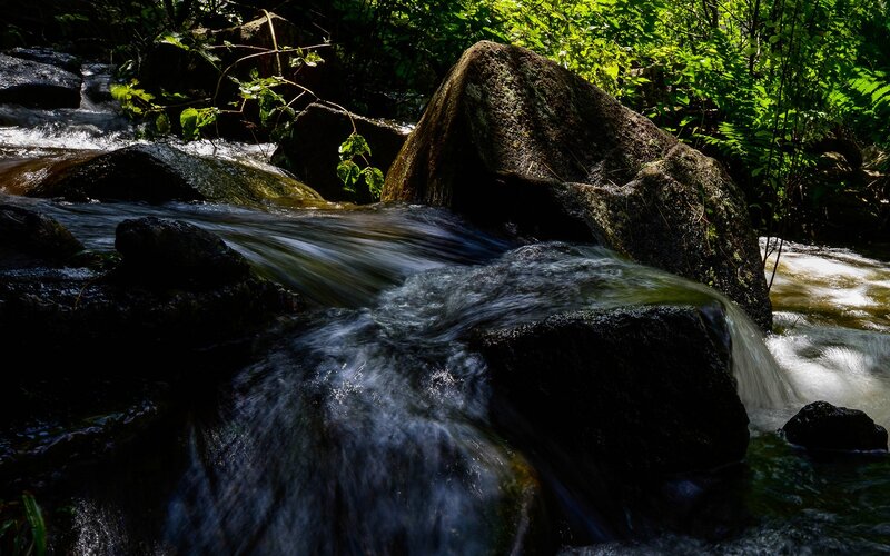 Stream Flowing over Rocks — Green, Serene, Afternoon, Photograph, Trees, Water, Brown