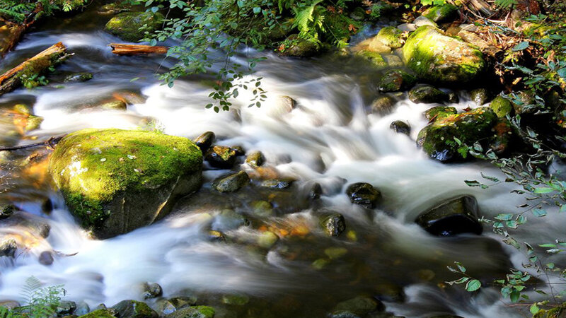 Stream Flowing over Rocks — Green, Serene, Afternoon