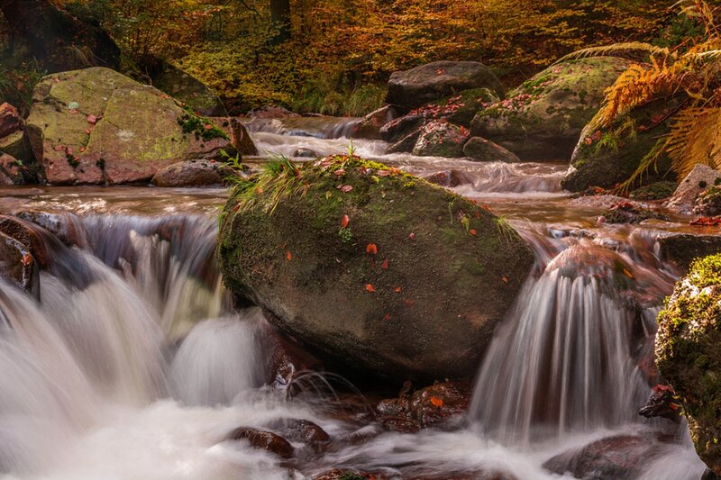 Stream Flowing over Rocks — Green, Serene, Autumn, Photograph, Fallen Leaves, Moss
