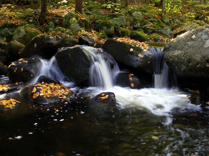 Stream Flowing over Rocks — Green, Serene, Autumn, Photograph, Leaves