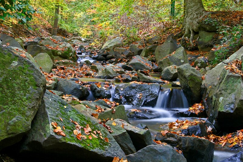 Stream Flowing over Rocks — Green, Serene, Autumn, Photograph, Leaves, Trees