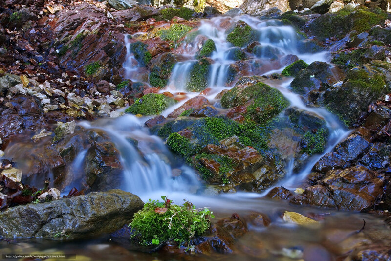 Stream Flowing over Rocks — Green, Serene, Autumn, Photograph, Moss, Fallen Leaves, Brown, White