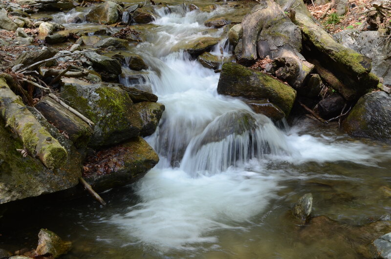 Stream Flowing over Rocks — Green, Serene, Autumn, Photograph, Moss, Fallen Logs