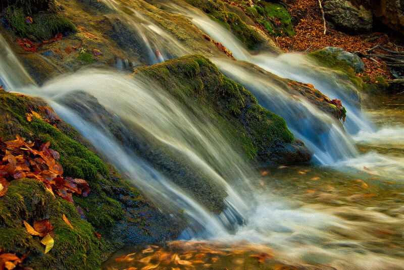 Stream Flowing over Rocks — Green, Serene, Autumn, Photograph, Moss, Leaves