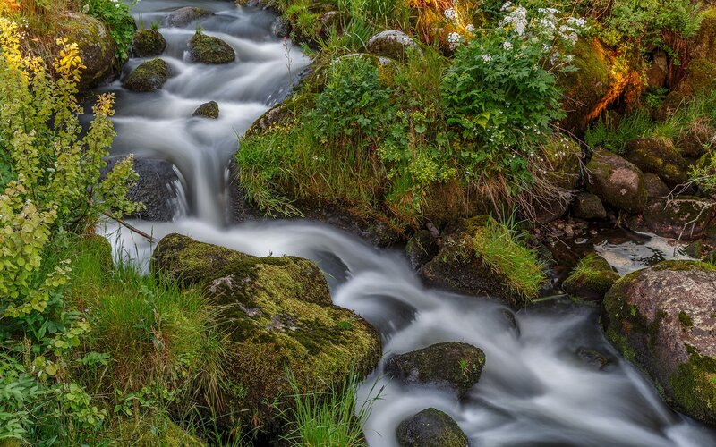 Stream Flowing over Rocks — Green, Serene, Autumn, Photograph, Moss, Plants