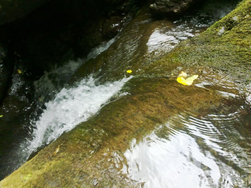 Stream Flowing over Rocks — Green, Serene, Autumn, Photograph