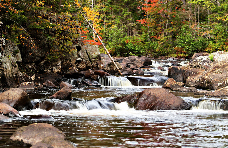 Stream Flowing over Rocks — Green, Serene, Autumn, Photograph, Trees, Fallen Branch