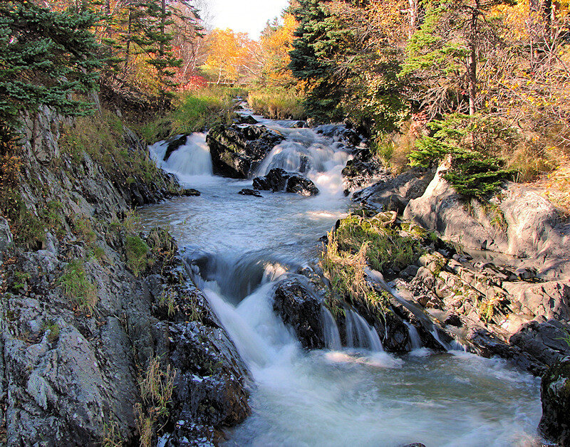 Stream Flowing over Rocks — Green, Serene, Autumn, Photograph, Trees, Fallen Leaves