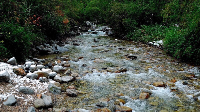 Stream Flowing over Rocks — Green, Serene, Autumn, Photograph, Trees, Snow