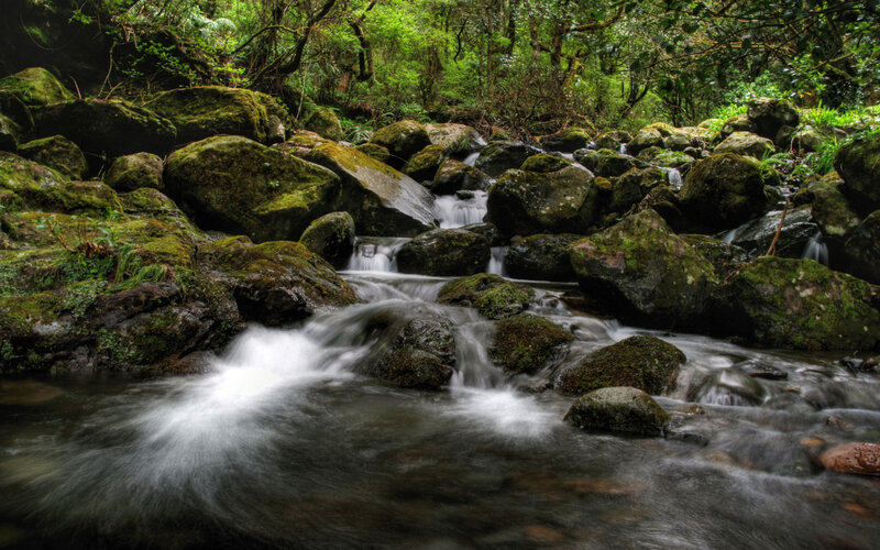 Stream Flowing over Rocks — Green, Serene, Daytime