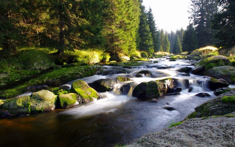 Stream Flowing over Rocks — Green, Serene, Morning, Photograph, Forest, Moss